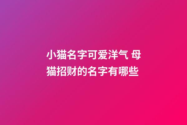 小猫名字可爱洋气 母猫招财的名字有哪些